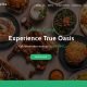 alwahaeatery.com.au